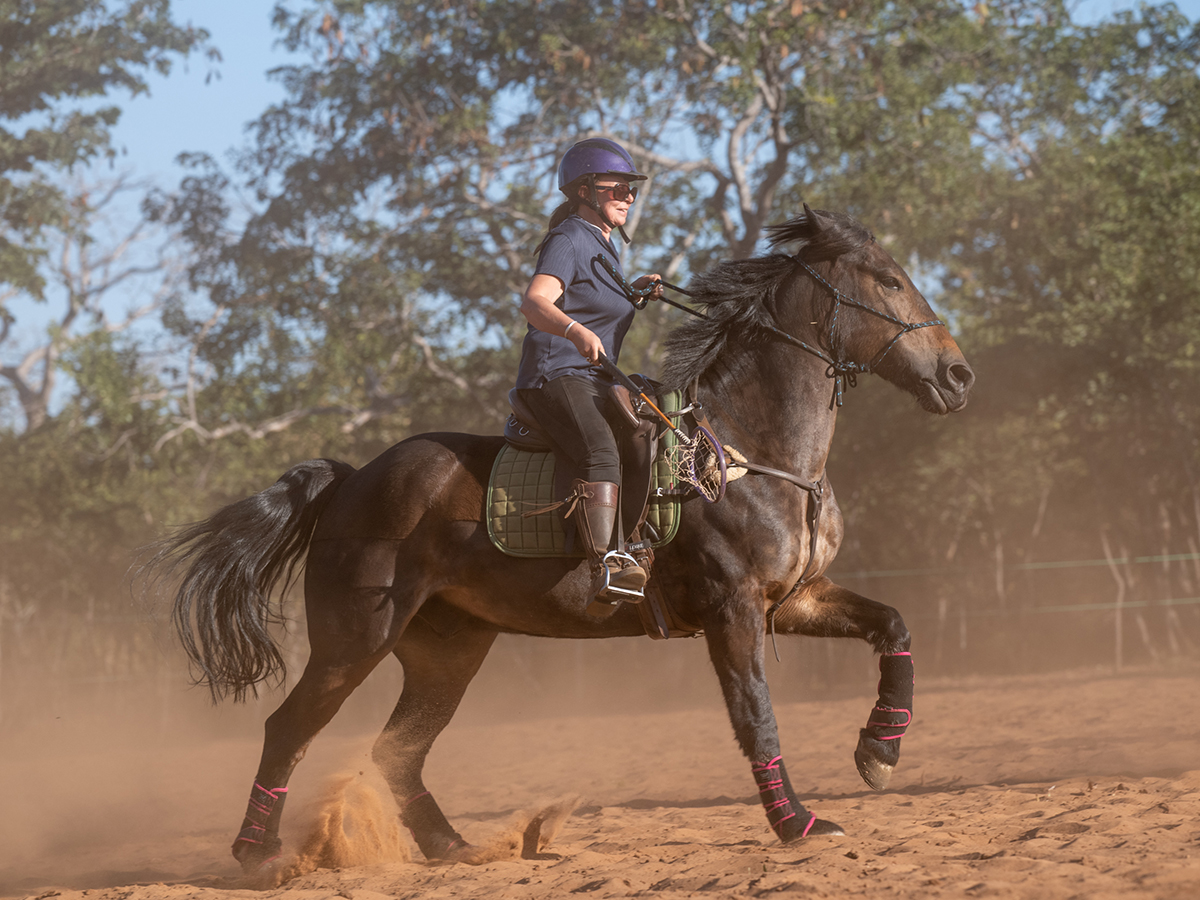 Image of a wild Bhiza groom gracefully practicing polo cross on horseback