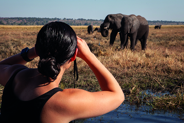 On a game drive through Zambezi National Park, marvel up close at the majestic sight of an elephant, a powerful reminder of the wild's timeless beauty. On a game drive through Zambezi National Park, marvel up close at the majestic sight of an elephant, a powerful reminder of the wild's timeless beauty.