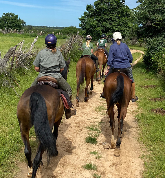 horse trails